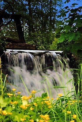 포토 JPG 해외이미지 나무 호수 영국 잉글랜드 사람없음 물 폭포 시골 급류 해외202004 해외포토 자연요소 식물 유럽 자연 파일형식 이미지허브