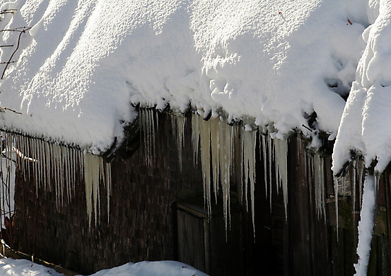 포토 JPG 해외이미지 나무 크리스마스 겨울 자연 지붕 독일 풍경 사람없음 목재 태양 반사 냉동 꿈 추위 흰색 시골 개울 숲 담요 즐거움 지역 온도 고드름 침엽수 전나무 완벽 제설기 가문비나무 해외202004 해외포토 자연요소 식물 계절 기념일 감정 유럽 컬러 컨셉 재료 강 얼음 생태계 제설 파일형식 이미지허브
