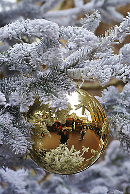 포토 JPG 해외이미지 계절 크리스마스장식 크리스마스 겨울 공 매달리기 사람없음 장식 크리스마스트리 반사 장식볼 흰색 축하 원형 황금 12월 여의주 해외202004 해외포토 도형 기념일 컬러 컨셉 모션 날짜 파일형식 이미지허브