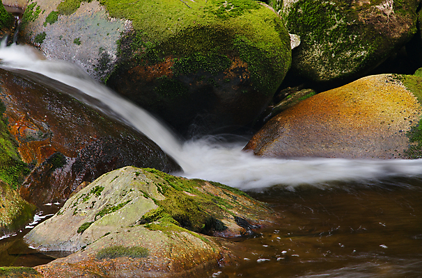 포토 JPG 해외이미지 식물 공원 여행 포크 잎 모션 자연 산 이끼 풍경 사람없음 야외 초록색 물 강 달리기 봄 폭포 젖음 흐름 바위 신선 개울 연기 숲 큼 묘사 암초 넘어짐 전국 해외202004 해외포토 자연요소 식기 계절 공공시설 컬러 컨셉 돌_바위 크기 생태계 파일형식 이미지허브