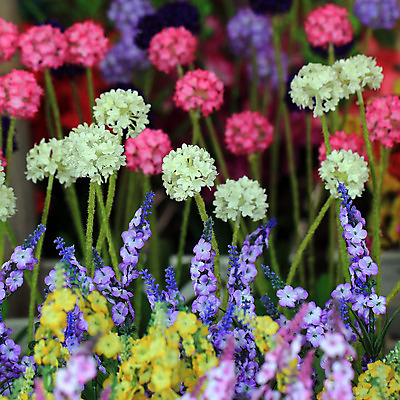 포토 JPG 해외이미지 식물 꽃 화분 꽃다발 백그라운드 잎 꽃무늬 밭 농업 자연 사람없음 장식 초록색 컬러풀 화장 정원 성장 벚꽃 나뭇가지 신선 화려 개화 허브 인공 해외202004 해외포토 나무 산업 컬러 컨셉 무늬 뷰티 생태계 파일형식 이미지허브