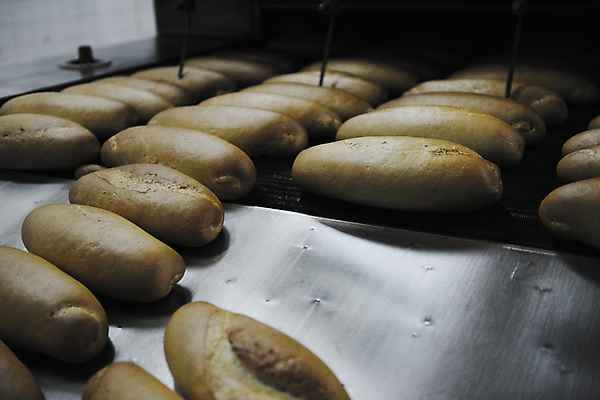 포토 JPG 해외이미지 빵 공장 실내 사람없음 기계 일렬 해외202004 해외포토 음식 공업 내부 파일형식 이미지허브