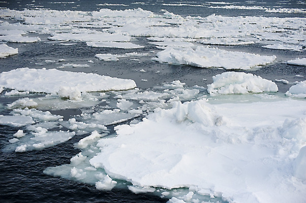 포토 JPG 해외이미지 주간 바다 겨울 자연 사람없음 야외 빙하 겨울풍경 해외202004 해외포토 자연요소 계절 풍경 생태계 파일형식 이미지허브