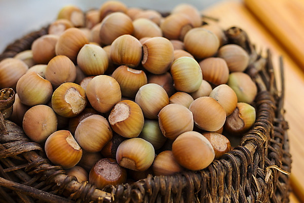 포토 JPG 해외이미지 식물 계절 음식 백그라운드 다이어트 과일 재료 자연 건조 건강 씨앗 사람없음 목재 갈색 노란색 쌓기 견과류 수확 껍질 가을 신선 그룹 맛 정상 오브젝트 유기농 질감 알맹이 날것 흙더미 내추럴 개암나무 식용 채식주의자 개암 비건 해외202004 해외포토 나무 웰빙 열매 컬러 컨셉 농업 모션 흙 생태계 채식 파일형식 더미 이미지허브