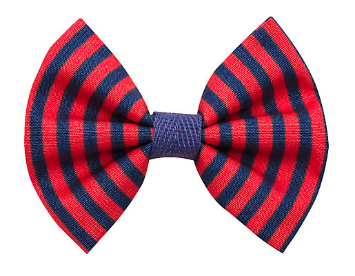 포토 JPG 해외이미지 음식 백그라운드 다이어트 재료 밥 건강 옥수수 요리 씨앗 사람없음 갈색 노란색 쌓기 주방 검은색 식사 저녁식사 흰색 원형 선탠 혼합 낟알 시리얼 먹기 허브 날것 부드러움 흙더미 제비 고립 끓이기 숙성 채식주의자 공급 해외202004 해외포토 도형 식물 컬러 모션 조류 곡류 흙 감각 채식 파일형식 더미 이미지허브