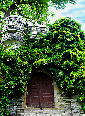 포토 JPG 해외이미지 구름 꽃 벽 캐나다 건축양식 창문 유리 하늘 주택 사람없음 건물 빨간색 파란색 문 계단 탑 발코니 바위 역사 냄비 타일 토론토 단계 계약자 석고 콘크리트 해외202004 해외포토 자연요소 식물 건축물 건축 컬러 북아메리카 재질 돌_바위 솥 계약 파일형식 이미지허브