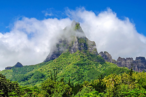 포토 JPG 해외이미지 나무 구름 여행 백그라운드 컨셉 밭 아프리카 자연 하늘 휴가 산 파노라마 풍경 사람없음 초록색 파란색 글로벌 꿈 시골 숲 알프스 조경 천국 폴리네시아 프랑스어 수평선 해외202004 해외포토 자연요소 식물 문자 유럽 나라 컬러 농업 촬영기법 오세아니아 생태계 파일형식 이미지허브