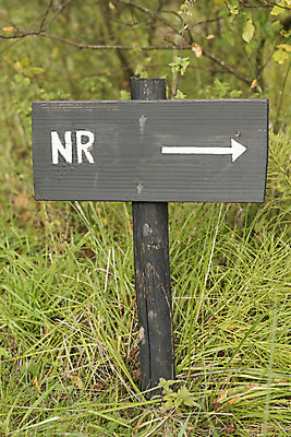 포토 JPG 해외이미지 접시 백그라운드 무늬 텍스트 자연 날씨 화살 선반 사람없음 목재 초록색 숫자 어둠 회색 흰색 가리킴 칼날 방향 사인 봉 서명 내추럴 선로 해외202004 해외포토 나무 문자 식기 컬러 가구 재료 손짓 생태계 파일형식 이미지허브