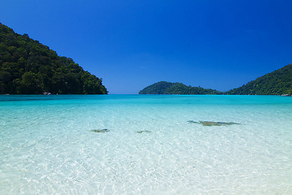 포토 JPG 해외이미지 계절 아시아 모래 파도 바다 섬 여행 백그라운드 배낭 태국 자연 하늘 휴가 휴식 풍경 사람없음 야외 목재 물 여름 파란색 태양 수영 침묵 꿈 만 투명 산호 크리스탈 다이빙 장면 이국적 터키석 파라다이스 수평선 해외202004 해외포토 자연요소 나무 나라 컬러 컨셉 가방 재료 소리 수상스포츠 자포동물 광석 보석 생태계 수중스포츠 파일형식 이미지허브