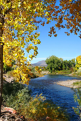 포토 JPG 해외이미지 나무 계절 잎 산 사람없음 물 강 노란색 가을 개울 황금 숲 9월 나무껍질 10월 콜로라도 해외202004 해외포토 자연요소 식물 컬러 미국 껍질 날짜 파일형식 이미지허브