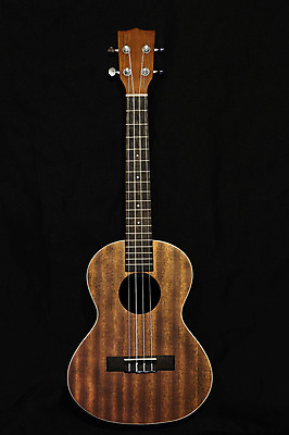 포토 JPG 해외이미지 줄 음악 놀이 취미 사람없음 목재 소리 음악가 기구 끈 낟알 뮤지컬 해외202004 해외포토 나무 직업 재료 문화예술 파일형식 이미지허브