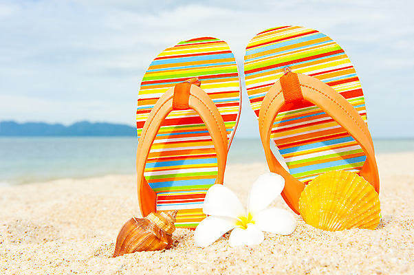 포토 JPG 해외이미지 나무 꽃 모래 바다 섬 여행 잎 과일 태국 자연 하늘 휴가 조개 휴식 손바닥 풍경 사람없음 물 여름 파란색 신혼여행 휴게실 파인애플 휴양지 모음 석호 공화국 이국적 파라다이스 해외202004 해외포토 자연요소 식물 손 계절 나라 아시아 컬러 결혼 컨셉 어패류 한글 장소 열대과일 생태계 파일형식 이미지허브