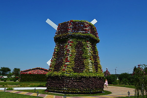 포토 JPG 해외이미지 식물 디자인 꽃 백그라운드 주택 감자 풍경 사람없음 야외 장식 초록색 컬러풀 정원 바위 냄비 컨테이너 배열 원예 조경 포도나무 해외202004 해외포토 산업 컬러 채소 취미 건물 돌_바위 솥 과일나무 파일형식 이미지허브