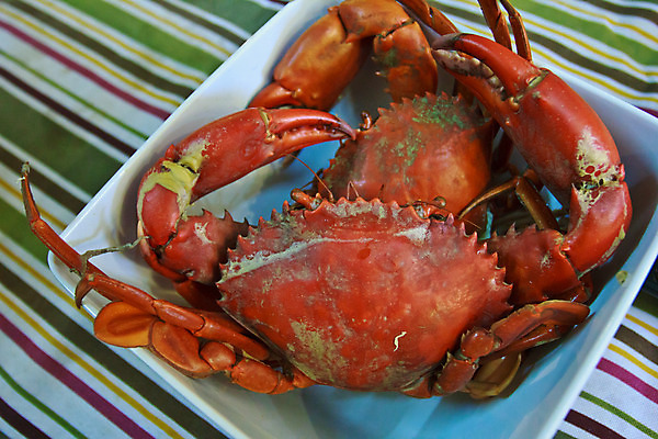 포토 JPG 해외이미지 음식 요리 사람없음 식당 식사 저녁식사 게 해산물 향신료 삶기 해외202004 해외포토 갑각류 상점 향미료 파일형식 이미지허브
