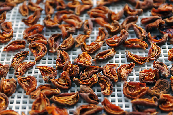 포토 JPG 해외이미지 스튜디오촬영 실내 사람없음 건과일 건조기 살구 해외202004 해외포토 과일 건조 내부 기계 파일형식 이미지허브