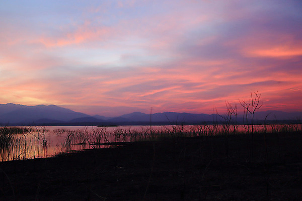 포토 JPG 해외이미지 나무 계절 실루엣 아시아 호수 낙엽 밭 태국 자연 하늘 동양인 풍경 사람없음 야외 빨간색 파란색 빛 햇빛 태양 노란색 우주 일출 검은색 황혼 일몰 새벽 추위 광선 가을 흰색 나뭇가지 죽음 연못 소나무 저녁 장면 설정 평야 생존 수평선 해외202004 해외포토 자연요소 식물 나라 컬러 잎 농업 촬영기법 인종 노을 야간 생태계 파일형식 이미지허브