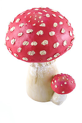 포토 JPG 해외이미지 계절 백그라운드 자연 사람없음 빨간색 버섯 가을 흰색 점 독약 숲 싱글 고립 곰팡이 독버섯 캡모자 해외202004 해외포토 모자_잡화 컬러 생태계 파일형식 이미지허브