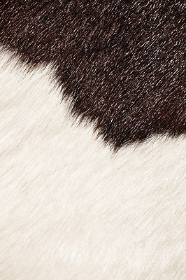 포토 JPG 해외이미지 동물 디자인 야생동물 가구 백그라운드 패턴 농업 오렌지 자연 벽지 표면 날씨 추상 털 따뜻함 동물원 사람없음 옆모습 장식 빨간색 반려동물 농장 갈색 검은색 코트 흰색 시골 거친 소 플랫 매끈함 가죽 모피 피부 묘사 질감 부드러움 솜털 숨김 내추럴 소가죽 해외202004 해외포토 산업 뷰포인트 컬러 생활용품 컨셉 무늬 과일 포유류 신체부위 외투 감각 생태계 파일형식 이미지허브