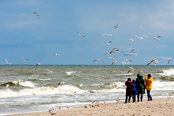 포토 JPG 해외이미지 실루엣 파도 바다 백그라운드 모션 자연 갈매기 조류 하늘 바람 날씨 사람 풍경 사람없음 야외 물 파란색 환경 검은색 추위 바위 신선 거친 떨어짐 위험 시원함 홍수 폭풍 내추럴 폭풍우 힘찬 스플래쉬 수평선 해외202004 해외포토 자연요소 동물 컬러 컨셉 촬영기법 돌_바위 비_날씨 자연재해 생태계 파일형식 이미지허브