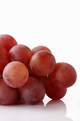 포토 JPG 해외이미지 식물 열매 음료 음식 과일 포도 추상 건강 사람없음 장식 빨간색 농작물 보라색 흰색 달콤 다발 상쾌 포도나무 숙성 해외202004 해외포토 감정 컬러 무늬 농업 맛 과일나무 파일형식 이미지허브