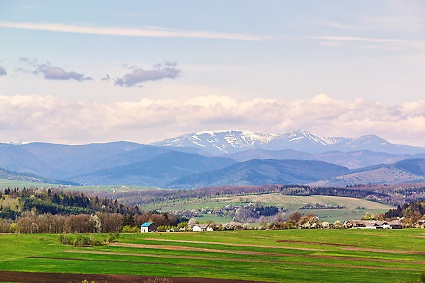 포토 JPG 해외이미지 나무 식물 구름 공원 꽃 유럽 도로 여행 백그라운드 밭 자연 하늘 휴가 산 주택 풍경 사람없음 초록색 여름 파란색 햇빛 농장 마을 맑음 봄 벚꽃 흰색 시골 체리 사과 오두막 과수원 언덕 아몬드 타운 우크라이나 해외202004 해외포토 자연요소 계절 공공시설 나라 길 컬러 농업 과일 교통시설 날씨 건물 태양 견과류 도시 생태계 파일형식 이미지허브