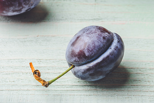 포토 JPG 해외이미지 실내 근접촬영 사람없음 한개 서양자두 나무배경 해외202004 해외포토 1 뷰포인트 백그라운드 내부 파일형식 이미지허브