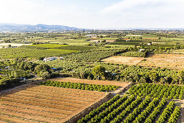 포토 JPG 해외이미지 식물 계절 산업 지구 여행 백그라운드 패턴 밭 농업 자연 하늘 안테나 풍경 사람없음 야외 초록색 여름 농작물 농장 농경지 환경 봄 수확 성장 시골 정상 땅 유기농 질감 내추럴 드론 밭일 세련 해외202004 해외포토 웰빙 컬러 무늬 통신 생태계 파일형식 이미지허브
