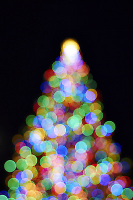 포토 JPG 해외이미지 나무 행복 포스터 백그라운드 사람없음 반짝임 컬러풀 검은색 축제 축하 인사 소프트포커스 보케 해외202004 해외포토 식물 감정 컬러 컨셉 모션 촬영기법 예절 파일형식 이미지허브