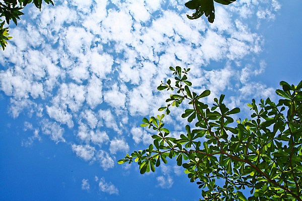 포토 JPG 해외이미지 구름 백그라운드 패턴 자연 하늘 바람 사람없음 야외 파란색 빛 햇빛 우주 환경 침묵 자유 흰색 오픈 장면 부드러움 천국 솜털 스카이라인 오존 천창 완전 해외202004 해외포토 자연요소 컬러 컨셉 무늬 날씨 태양 소리 감각 생태계 파일형식 이미지허브