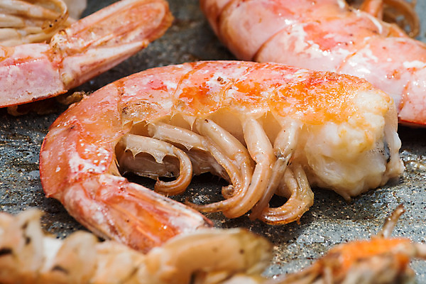 포토 JPG 해외이미지 음식 다이어트 불 조개 새우 파슬리 건강 어류 스테이크 요리 사람없음 야외 빛 식사 샐러드 신선 최고 뜨거움 꼬치 닫기 그릴 바비큐 왕 지중해 먹기 해산물 준비 냅킨 후추 석탄 해외202004 해외포토 자연요소 바다 채소 모션 주방용품 어패류 서양음식 갑각류 수중동물 향신료 파일형식 이미지허브