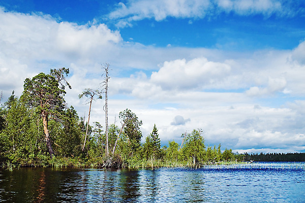 포토 JPG 해외이미지 나무 호수 자연 하늘 날씨 휴식 건조 풍경 사람없음 목재 세로 초록색 여름 파란색 강 태양 갈색 침묵 숲 즐거움 통나무 변소 생태학 해외202004 해외포토 자연요소 식물 계절 교육 감정 컬러 컨셉 재료 소리 생태계 파일형식 이미지허브