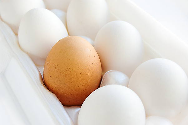 포토 JPG 해외이미지 음식 다이어트 부활절 사람없음 갈색 계란 껍질 흰색 먹기 노른자 고립 단백질 특별함 혼자 해외202004 해외포토 기념일 컬러 컨셉 모션 건강 알 영양소 파일형식 이미지허브