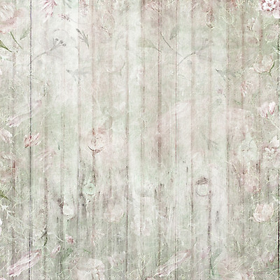 포토 JPG 해외이미지 디자인 꽃잎 꽃 종이 결혼 백그라운드 꽃무늬 패턴 벽지 추상 프레임 사랑 미술 사람없음 장식 장미 보라색 봄 회색 수확 골동품 벚꽃 흰색 클래식 앨범 묘사 질감 복고 그런지 빅토리아 스크랩북 옛날 작약 터키석 파스텔톤 세련 해외202004 해외포토 식물 계절 감정 컬러 컨셉 무늬 농업 문화예술 이벤트 보석 파일형식 이미지허브