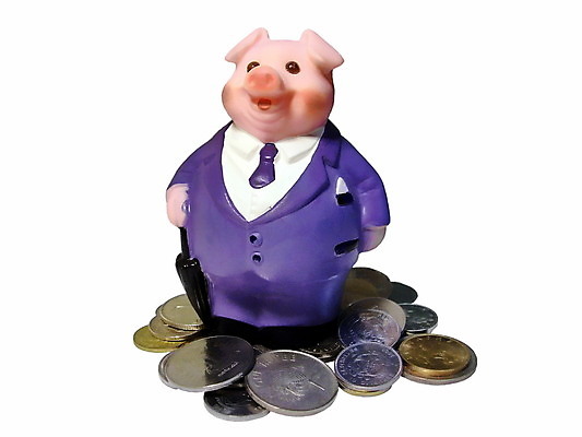 포토 JPG 해외이미지 분홍색 백그라운드 돈 비즈니스 성공 안전 사람없음 금융 경제 장난감 달러 동전 침묵 저축 돼지저금통 돼지 절약 변화 재산 닫기 구매 컨테이너 심볼 투자 상업 수익 보물 회계 계산서 계좌 고립 수입 해외202004 해외포토 산업 컬러 컨셉 포유류 모션 쇼핑 소리 저금통 파일형식 이미지허브