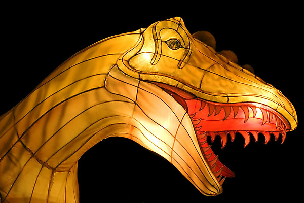 포토 JPG 해외이미지 동물 전구 파충류 조명 사람없음 빛 어둠 등불 램프 야간 공룡 고생물 멸종 선사시대 고립 몬스터 점화 쥬라기 해외202004 해외포토 자연요소 생물 역사 파일형식 이미지허브