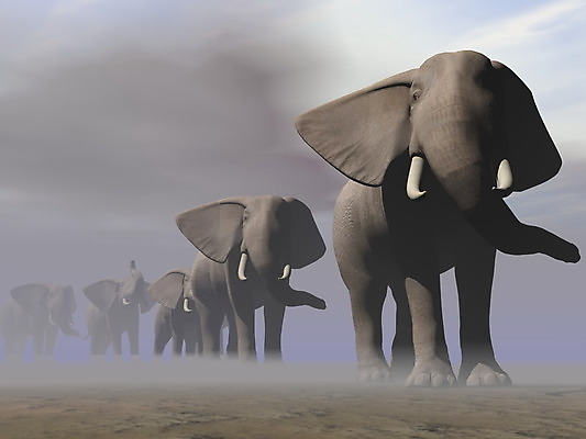 포토 JPG 해외이미지 동물 구름 공원 여자 남자 실루엣 야생동물 선 백그라운드 일러스트 포유류 아프리카 자연 하늘 아침 코끼리 풍경 사람없음 컬러풀 3D 디지털 검은색 침묵 황혼 새벽 회색 사막 안개 광선 군중 저녁 사파리 만들기 장면 동물상 사바나 줄서기 많음 수평선 해외202004 해외일러스트 주간 자연요소 공공시설 나라 컬러 컨셉 모션 날씨 촬영기법 사람 조형물 소리 일몰 야간 디지털합성 생태계 파일형식 이미지허브