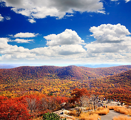 포토 JPG 해외이미지 나무 구름 응시 계절 공원 잎 오렌지 곰 자연 하늘 휴식 새로움 산 따뜻함 안테나 풍경 사람없음 야외 목재 초록색 파란색 갈색 노란색 맑음 가을 시골 황금 숲 11월 장면 지역 일반 10월 내추럴 땅바닥 서쪽 해외202004 해외포토 자연요소 식물 동물 시선 공공시설 컬러 컨셉 과일 재료 통신 포유류 날씨 바닥 날짜 방향 생태계 파일형식 이미지허브