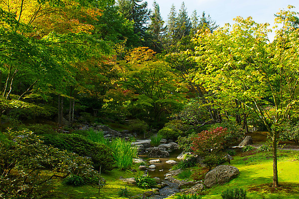 포토 JPG 해외이미지 나무 공원 길 풍경 사람없음 야외 물 반사 산책 가을 연못 시애틀 워싱턴 해외202004 해외포토 자연요소 식물 계절 공공시설 휴식 미국 파일형식 이미지허브