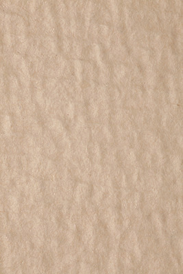 포토 JPG 해외이미지 종이 백그라운드 패턴 자연 추상 문구용품 사람없음 갈색 거친 낟알 유기농 질감 내추럴 해외202004 해외포토 웰빙 컬러 무늬 오브젝트 생태계 파일형식 이미지허브