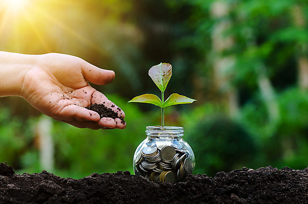 포토 JPG 해외이미지 식물 손 백그라운드 컨셉 잎 돈 비즈니스 유리 성공 씨앗 안전 사람없음 건물 금융 경제 동전 저축 저금통 성장 흰색 항아리 절약 황금 계획 컨테이너 투자 이익 대출 계좌 관심 넣기 수입 자금 투자자 해외202004 해외포토 건축물 산업 컬러 모션 재질 신체부위 도자기 재산 파일형식 이미지허브