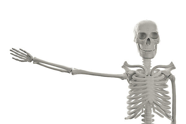 포토 JPG 해외이미지 모델 1 손 백그라운드 부분 해부 휴가 뼈 골격 사람 사람없음 할로윈 흰색 죽음 플라스틱 심볼 오브젝트 생물학 쇼 거짓 고립 해골모형 해외202004 해외포토 교육 컬러 의학 재질 신체부위 모형 파일형식 이미지허브