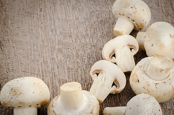 포토 JPG 해외이미지 음식 백그라운드 다이어트 채소 과일 재료 자연 탁자 건강 요리 사람없음 초록색 갈색 주방 검은색 식사 저녁식사 칠판 버섯 수확 가을 시골 신선 그룹 고수 맛 먹기 허브 준비 유기농 날것 후추 내추럴 곰팡이 세이지 숙성 식용 채식주의자 해외202004 해외포토 식물 웰빙 계절 컬러 가구 컨셉 농업 모션 향신료 생태계 채식 파일형식 이미지허브