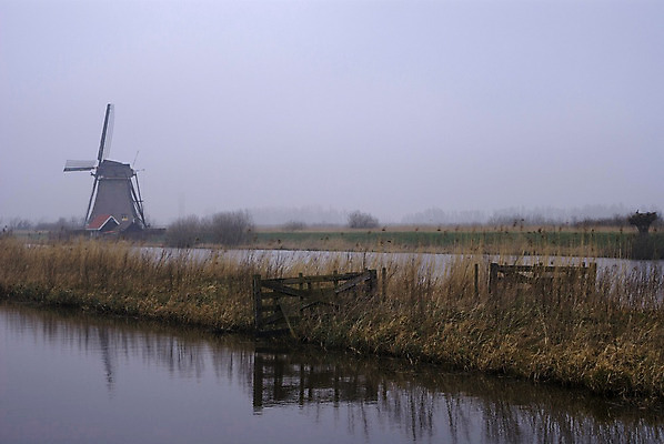 포토 JPG 해외이미지 자연 갈대 풍경 사람없음 물 울타리 반사 풍차 세계문화유산 안개 네덜란드 운하 방앗간 해외202004 해외포토 자연요소 식물 유럽 날씨 담장 문화재 생태계 파일형식 이미지허브
