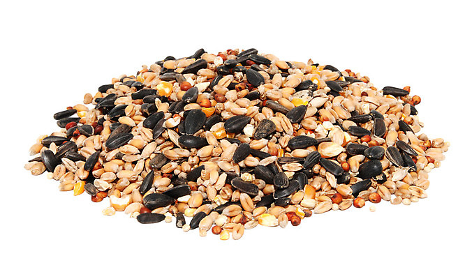 포토 JPG 해외이미지 음식 해바라기 옥수수 씨앗 사람없음 쌓기 먹이 밀 흰배경 날것 흙더미 고립 수수 해외202004 해외포토 식물 꽃 백그라운드 모션 곡류 흙 흰색 파일형식 더미 이미지허브