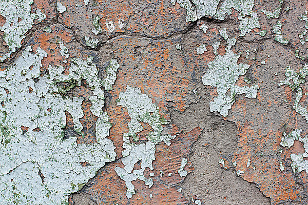 포토 JPG 해외이미지 디자인 외관 벽 백그라운드 패턴 날씨 추상 주택 사람없음 건물 빨간색 초록색 파란색 어둠 페인트 손상 골동품 껍질 바위 흰색 도시 얼룩 거친 고민 질감 복고 스크래치 나쁜 곰팡이 구식 그런지 깨짐 방법 석고 옛날 콘크리트 해외202004 해외포토 건축물 감정 컬러 컨셉 무늬 돌_바위 파일형식 이미지허브