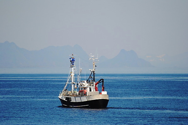 포토 JPG 해외이미지 바다 노르웨이 사람없음 고래 박쥐 해외202004 해외포토 유럽 포유류 수중동물 파일형식 이미지허브