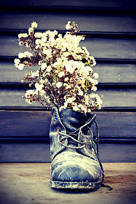 포토 JPG 해외이미지 식물 디자인 계절 꽃 신발 컨셉 날씨 아이디어 부츠 사람없음 장식 꽃병 하이킹 시골 거친 변화 가죽 배열 원예 복고 먼지 그런지 스타일링 옛날 중고 해외202004 해외포토 레저 취미 파일형식 이미지허브