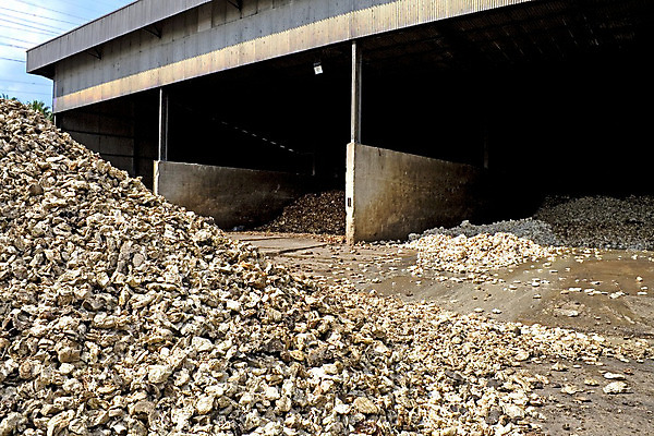 포토 JPG 해외이미지 산업 농업 공장 사람없음 상점 제조 주식 날것 고무 방법 해외202004 해외포토 공업 금융 파일형식 이미지허브