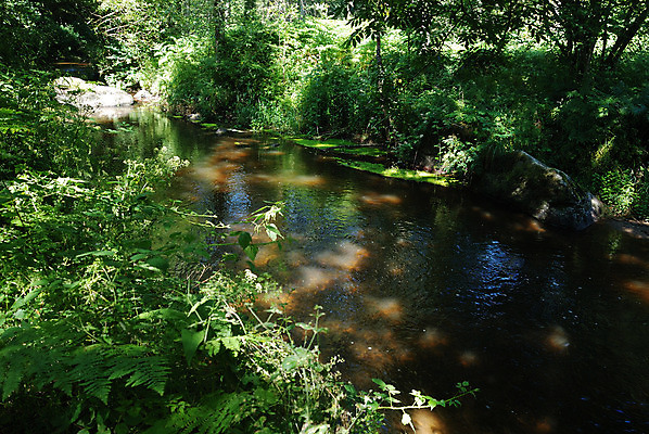 포토 JPG 해외이미지 나무 전통 모래 여행 사람없음 옆모습 초록색 물 강 계곡 침묵 프랑스 가장자리 장면 프랑스어 해외202004 해외포토 자연요소 식물 문자 유럽 뷰포인트 컬러 소리 둘레 파일형식 이미지허브