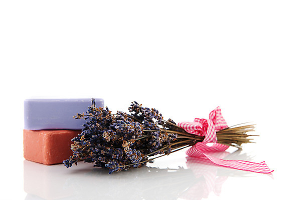 포토 JPG 해외이미지 꽃 분홍색 꽃다발 백그라운드 건조 사람없음 보라색 흰색 바 다발 비누 라벤더 고립 마르세유 위생관리 프로방스 해외202004 해외포토 식물 컬러 관리 위생용품 허브 파일형식 이미지허브